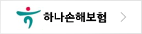 하나손해
